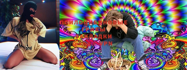 apvp Елабуга