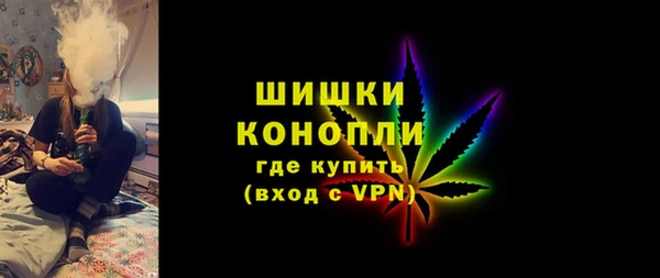 хмурый Елизово