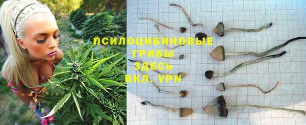 гашиш Ельня