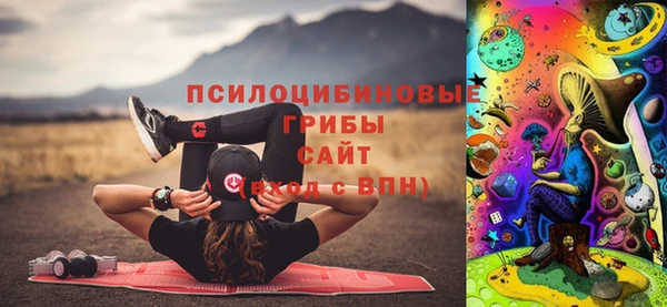 apvp Елабуга