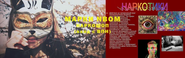 хмурый Елизово