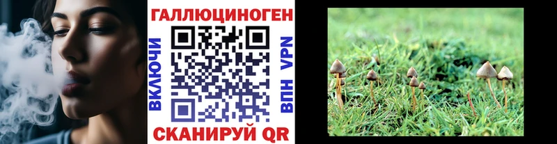 Галлюциногенные грибы прущие грибы  Купить где  Гремячинск 
